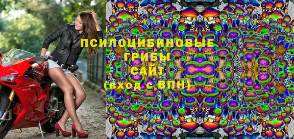 экстази Арсеньев